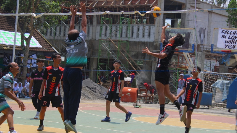 IMG_0081 (800x450)